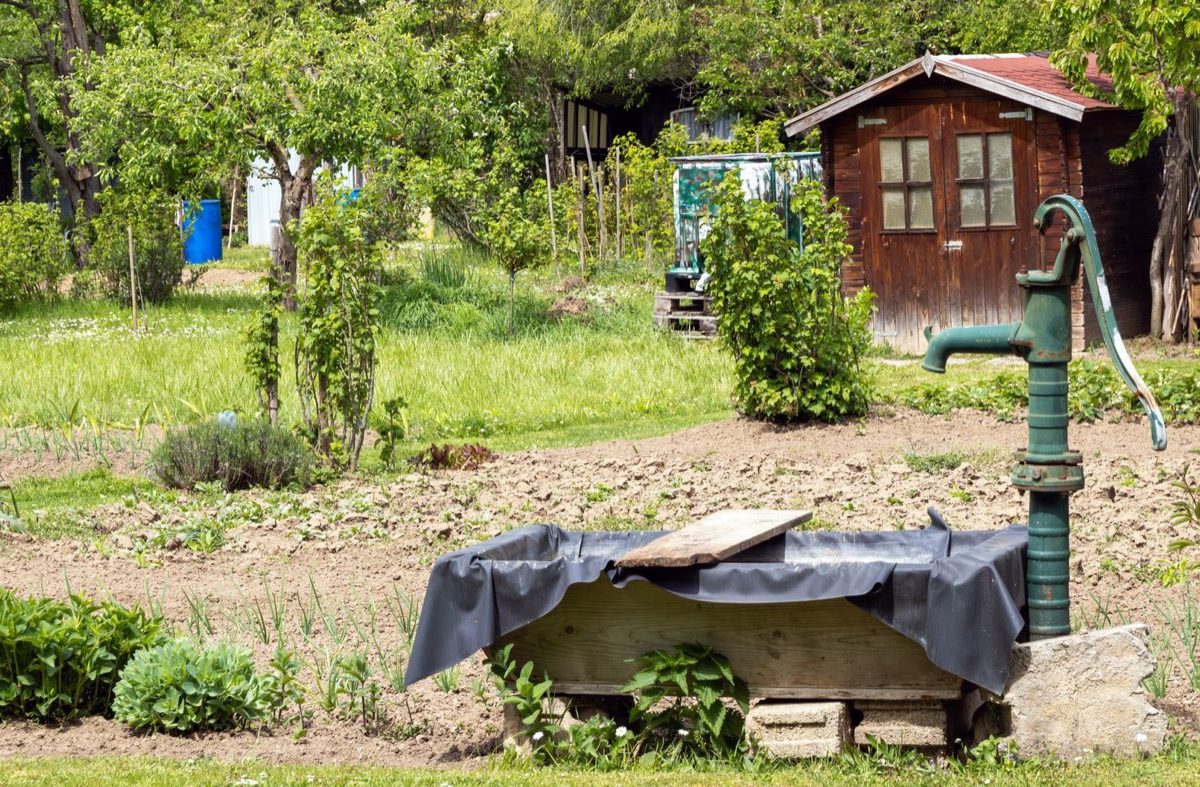Comparatif des pompes économes pour arrosage de jardin