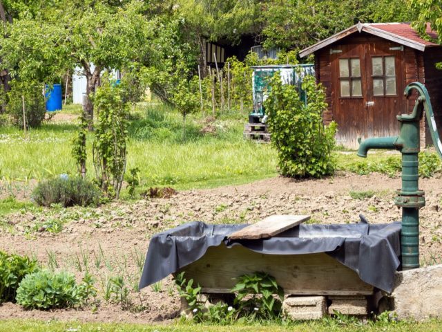 Comparatif des pompes économes pour arrosage de jardin