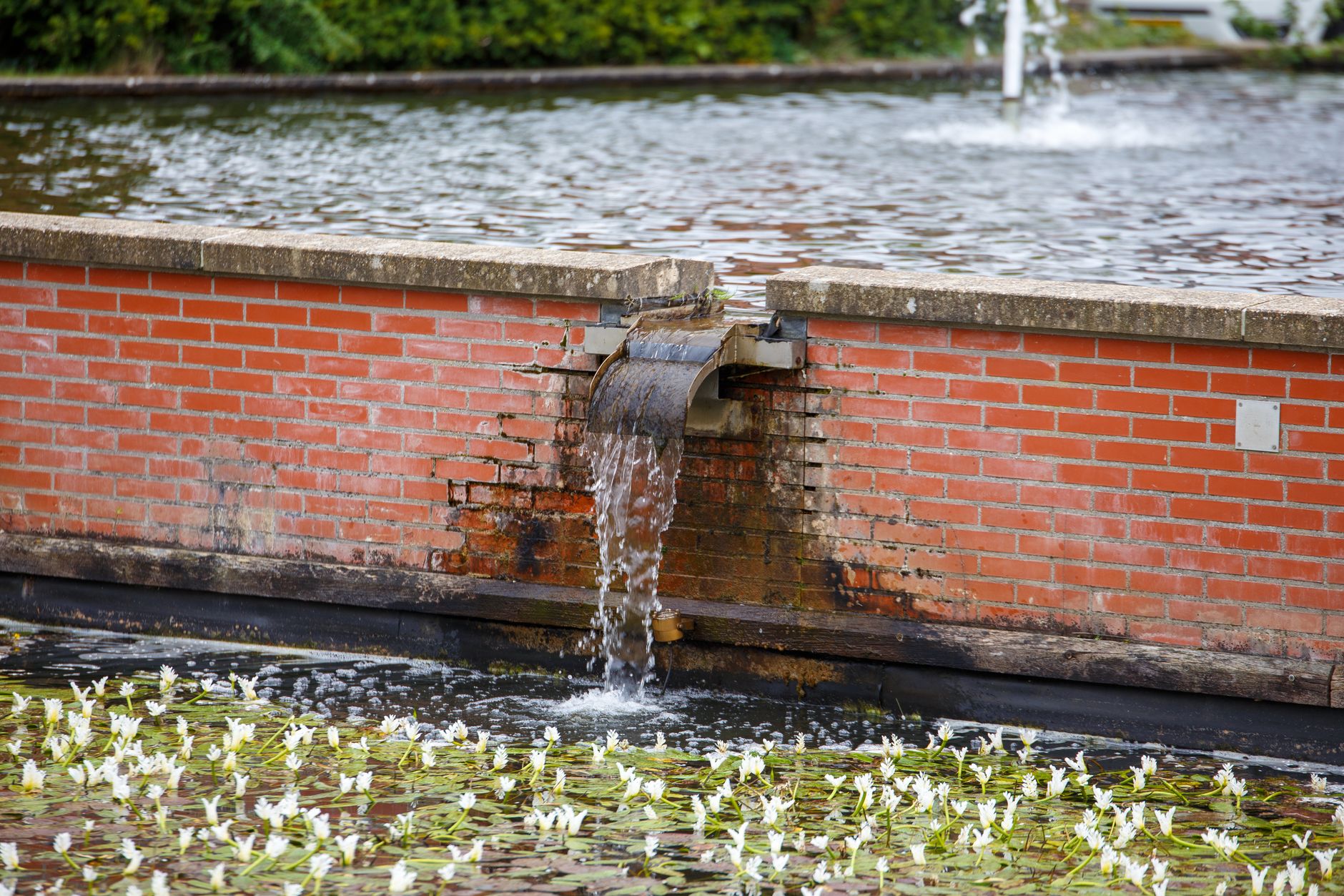 Gestion de l'eau et installations extérieures du jardin