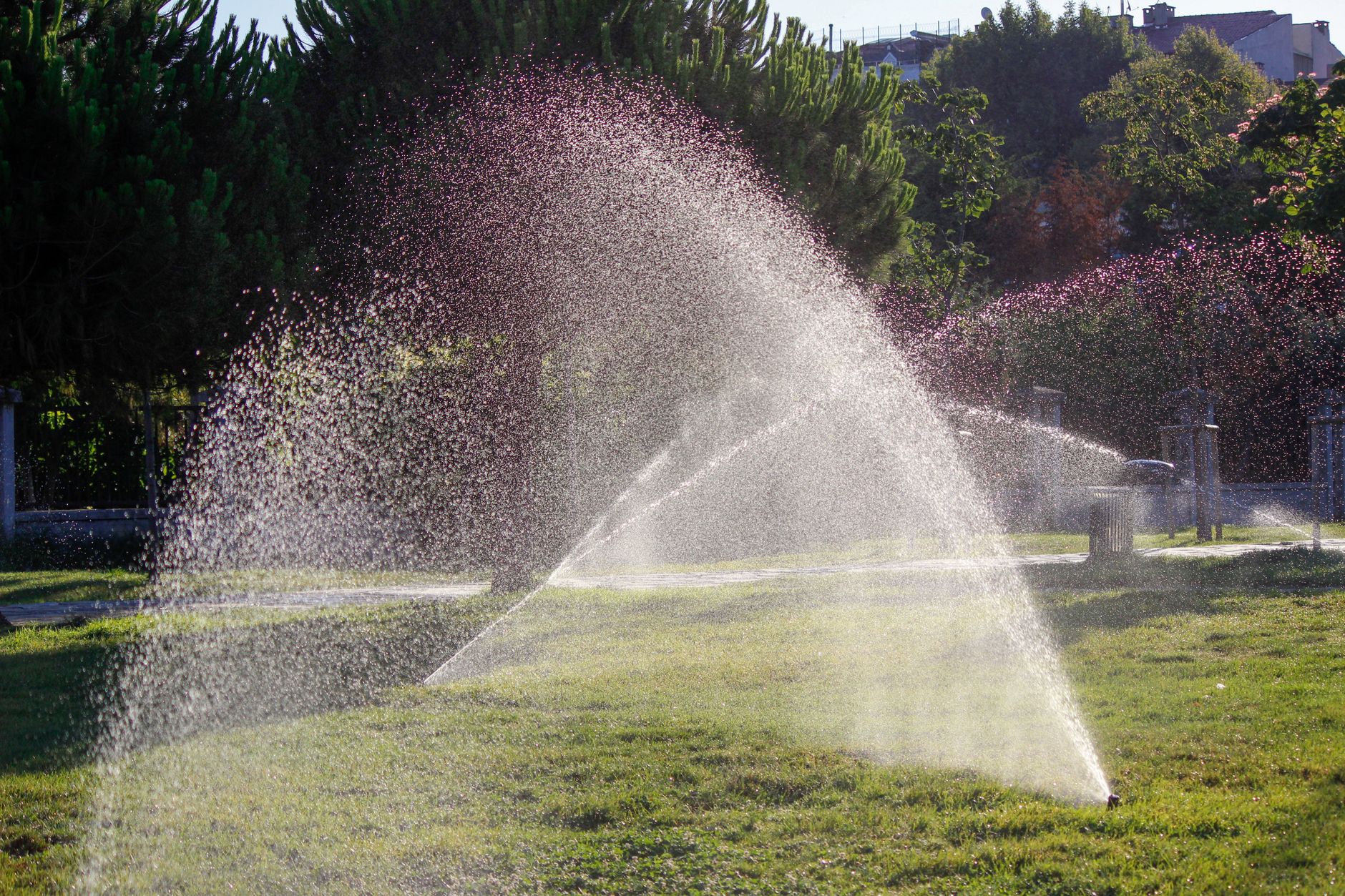 Comparatif des pompes économes pour arrosage de jardin